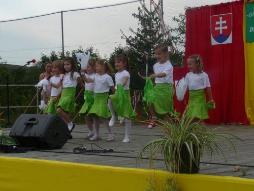 201106170944270.dnk_2011_obr_0048