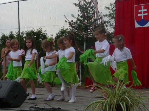 201106170944270.dnk_2011_obr_0049