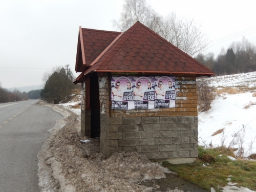 201501291445550.dscn0247