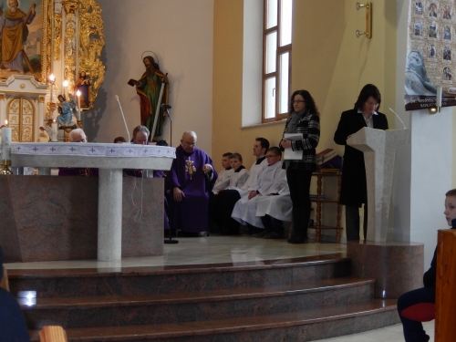201503012016150.dscn0407