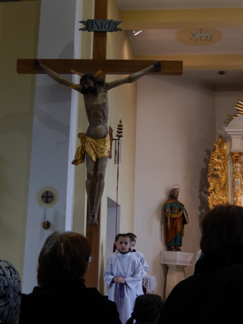 201503012016150.dscn0410