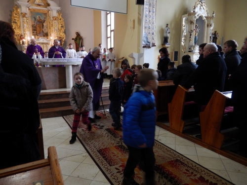 201503012016150.dscn0428