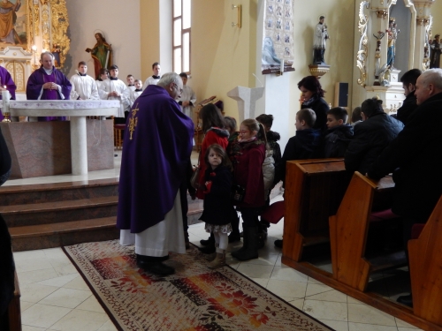 201503012016150.dscn0429
