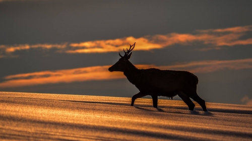 201503231719070.11002965_381721742007272_1368114831_o