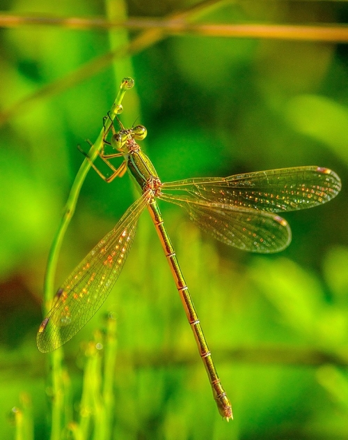 201503231719070.11020272_381722088673904_1291429014_n