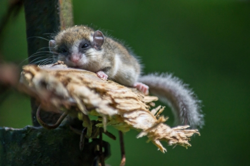 201503231719070.11024916_381722045340575_92645123_o