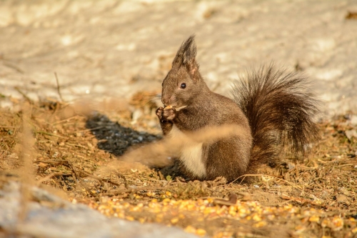 201503231719070.11028206_381722105340569_2034168366_o