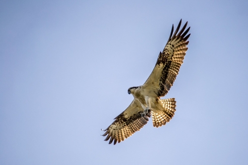 201503231719070.11028778_381722118673901_418406135_o