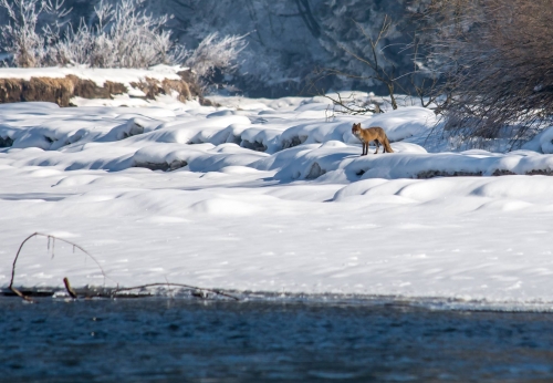 201503231719070.11034815_381722065340573_1613903368_o