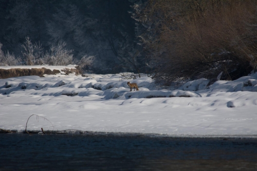 201503231719070.11035233_381722072007239_631830976_o