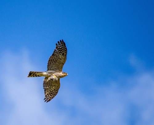 201503231719070.11046934_381721945340585_1367051450_n