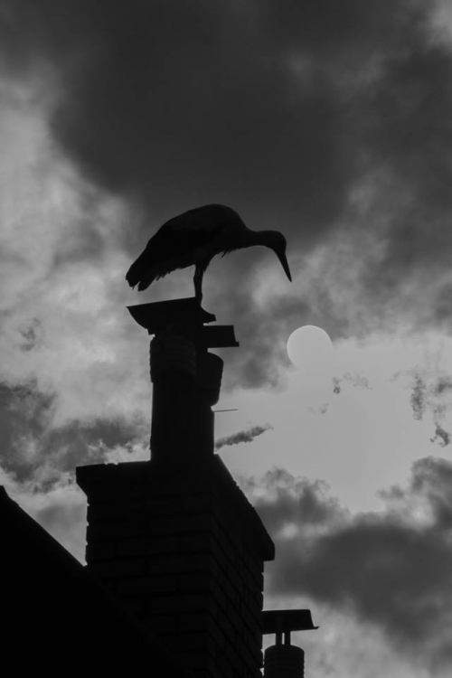 201503231719070.11051080_381721892007257_1859119128_n