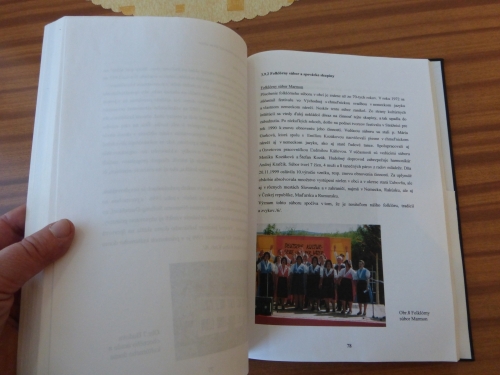201503252248460.p1030017