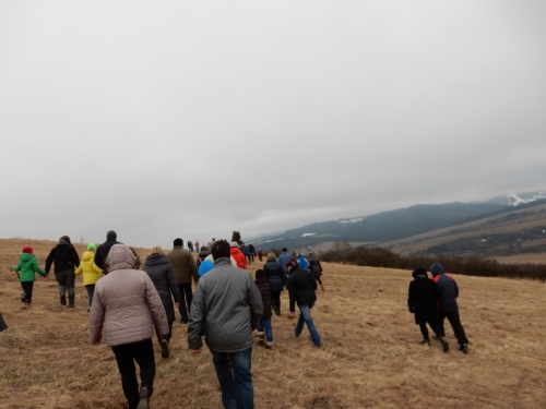 201503271817240.dscn0273