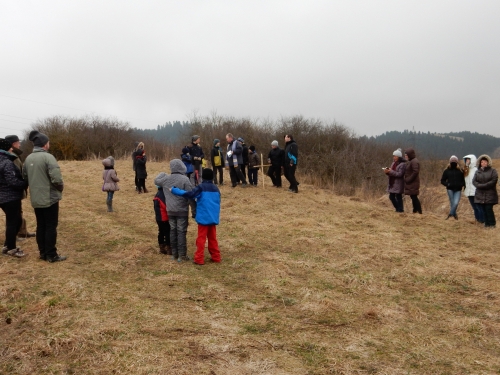 201503271817240.dscn0295