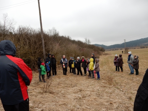 201503271817240.dscn0298