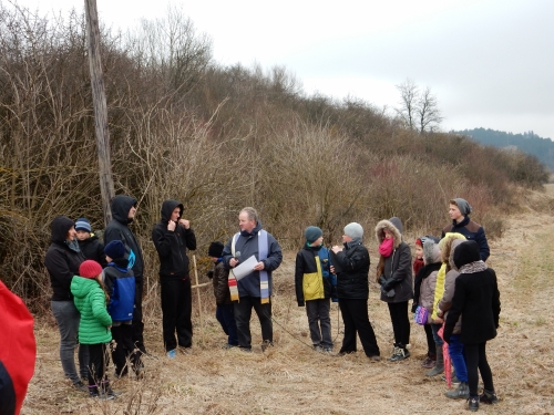 201503271817240.dscn0299