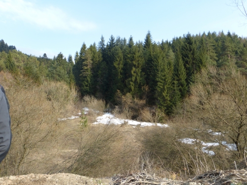 201504011800360.p1020777