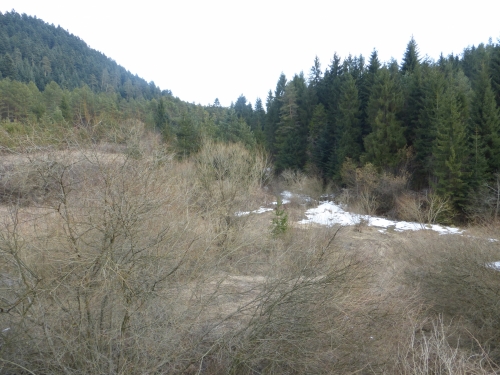 201504011801190.p1020769
