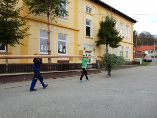 201504301916430.dscn0419