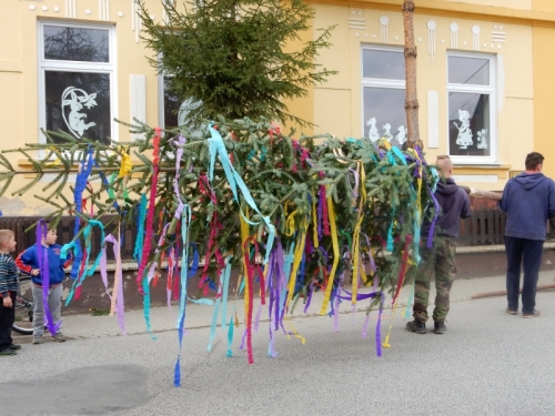 201504301916430.dscn0448