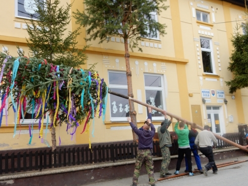 201504301916430.dscn0449
