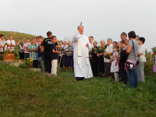 201508162349460.dscn1951