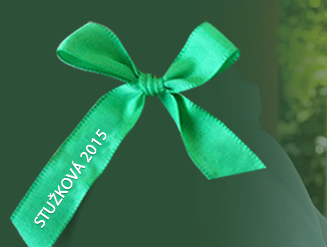 201511082013270.stuzkova