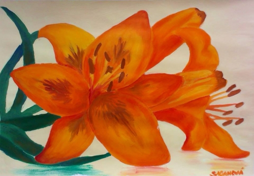 201511281952400.1538856_728269717196768_1473836780_n