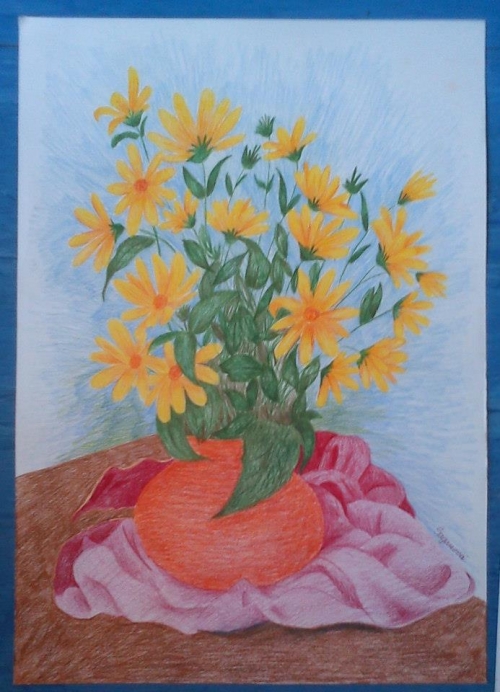 201511281952400.46271_493152420708500_1616018710_n