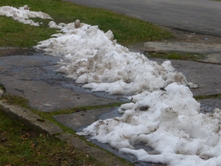 201512062006490.p1140777