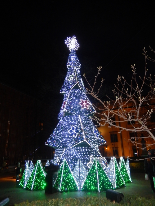 201612042253060.dscn0009