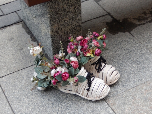 201612042303150.dscn9977