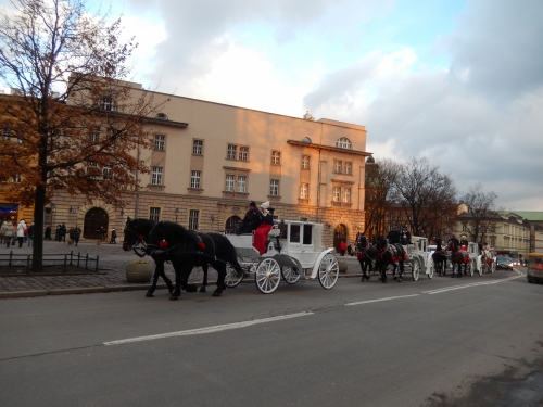 201612042305280.dscn9970