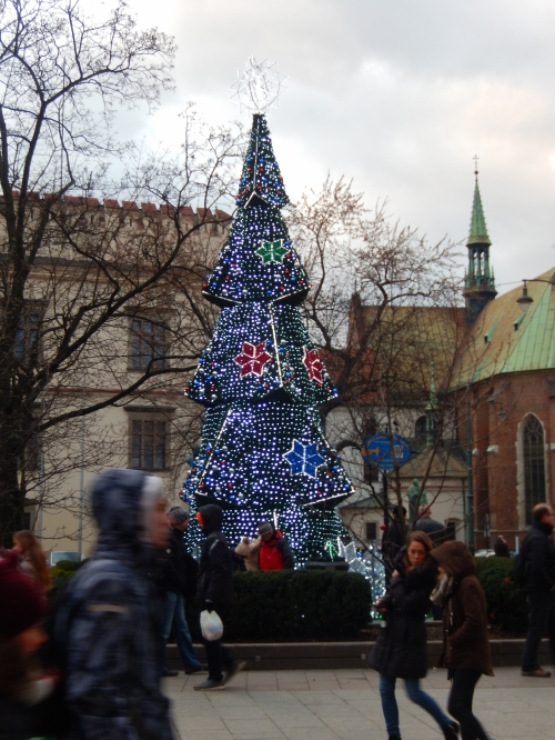 201612042313490.dscn9980