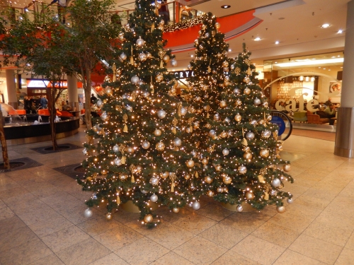201612042323110.dscn9949