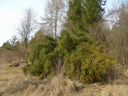 201702271747200.dscn6823