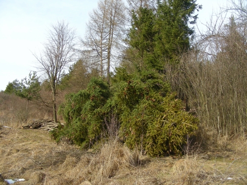 201702271747200.dscn6830