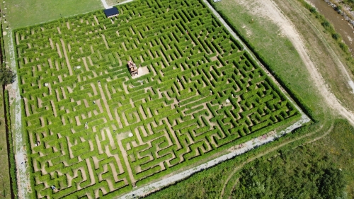 202604221528460.202604211145420-bludisko