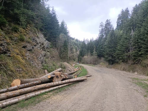 202604270948520.2a87de3c-8768-4867-8097-0653718ed417