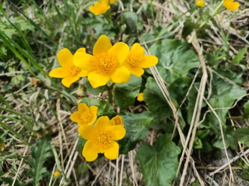 202604270948520.3109d18d-76d7-4dd5-bcf7-9a80e1d205dd