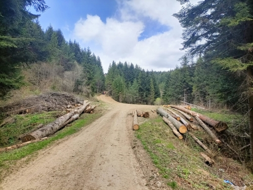 202604270948520.38463287-11b6-432e-9997-7087c2ca3ab2