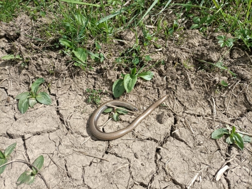 202604270948520.53633602-2962-4104-8fe2-ff8245dbcf6d