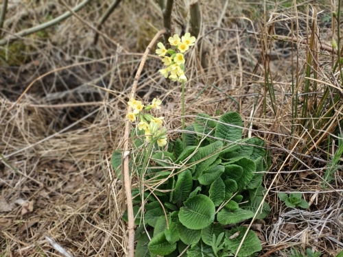 202604270948520.b8dab5b5-f3cd-424e-9417-360043749f7a