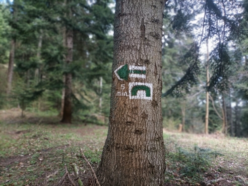 202604270948520.c0b2de43-6160-4422-8828-594a283d75cf