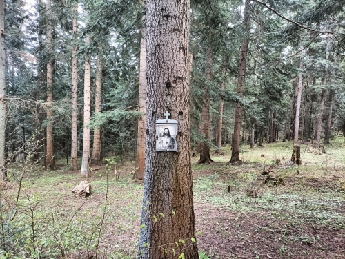 202604270948520.c3bcdc98-53c9-4f97-8ea7-a265892eb106