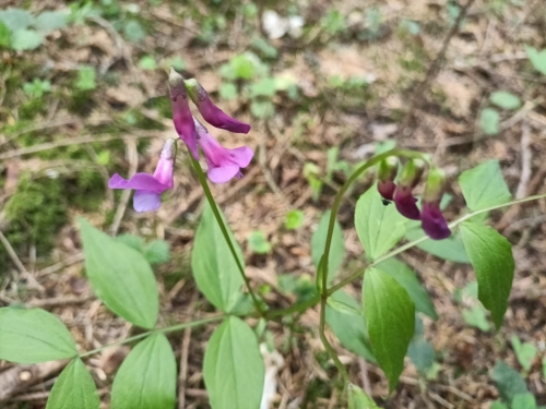 202604270948520.e7e3b37c-2295-4430-a13e-acb739c0f463