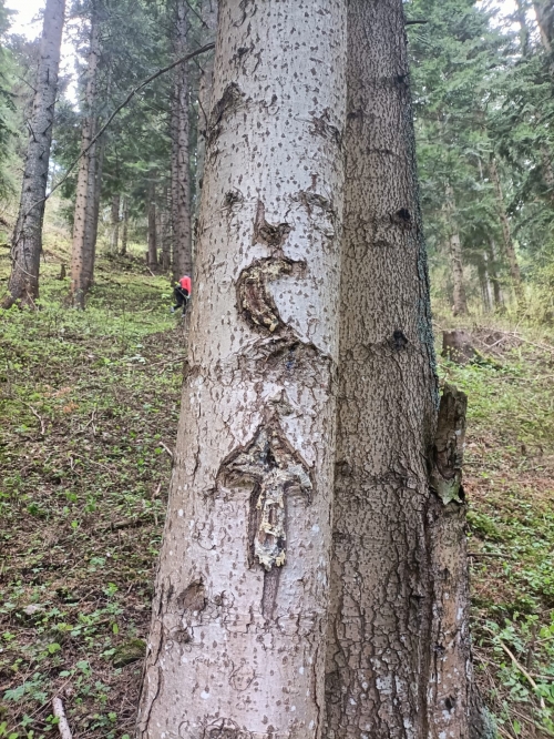 202604270948520.fbac7784-9657-4dce-afbb-f8b7442e35a8