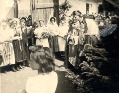 Udalosti a podujatia