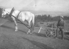 Udalosti a podujatia
